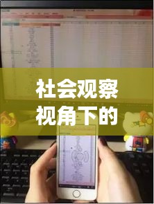 社会观察视角下的剖析，刺木价格背后的手机实时监控评测现象
