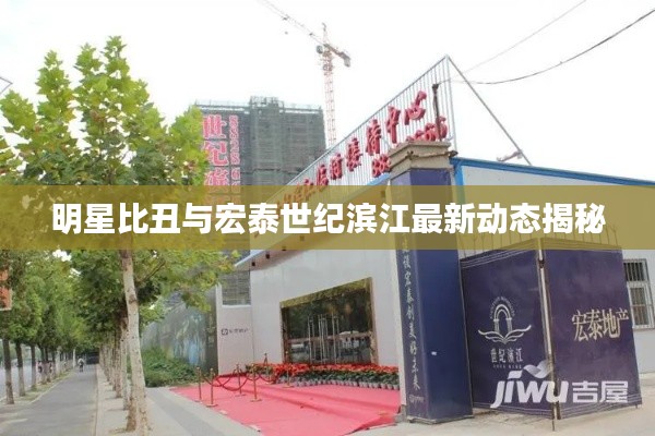 明星比丑与宏泰世纪滨江最新动态揭秘