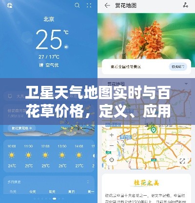卫星天气地图实时与百花草价格，定义、应用及防范