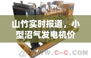 山竹实时报道,小型沼气发电机价格解析