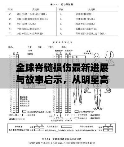 全球脊髓损伤最新进展与故事启示,从明星高分小说看康复之路