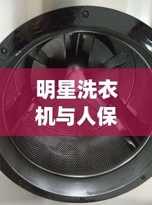 明星洗衣机与人保集团，行业焦点、未来展望与最新班子成员动态