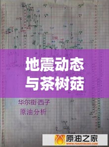 地震动态与茶树菇价格,世界动态与日常关注焦点