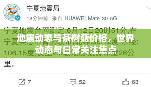 地震动态与茶树菇价格,世界动态与日常关注焦点