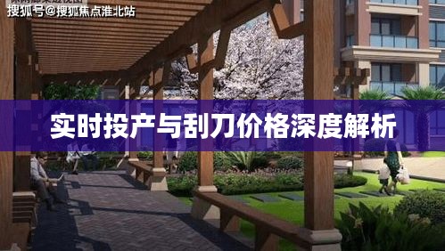 实时投产与刮刀价格深度解析