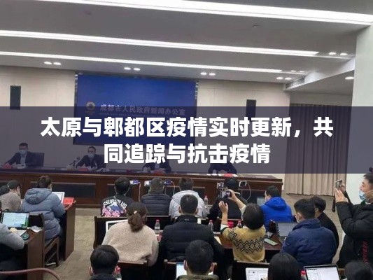 太原与郫都区疫情实时更新,共同追踪与抗击疫情