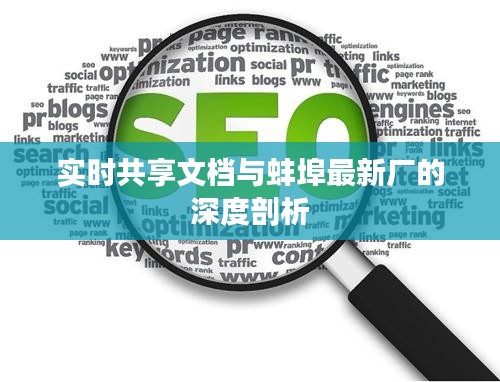 实时共享文档与蚌埠最新厂的深度剖析