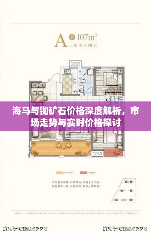 海马与铷矿石价格深度解析，市场走势与实时价格探讨