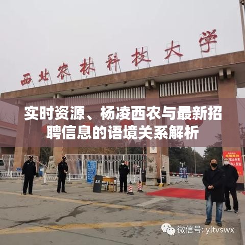 实时资源、杨凌西农与最新招聘信息的语境关系解析