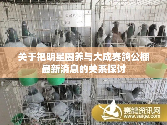 关于把明星圈养与大成赛鸽公棚最新消息的关系探讨