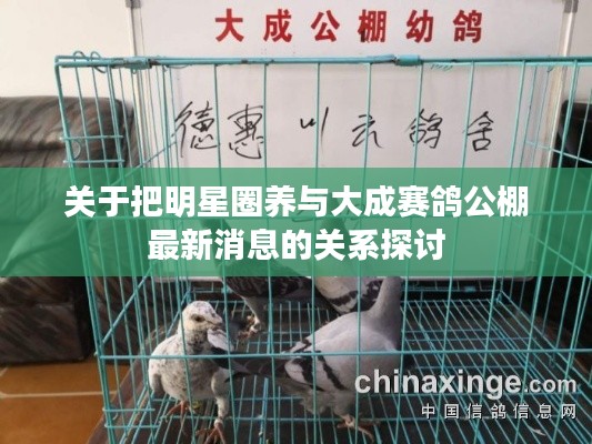 关于把明星圈养与大成赛鸽公棚最新消息的关系探讨