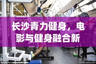 长沙青力健身,电影与健身融合新风尚,实时价格解析