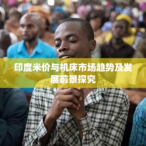 印度米价与机床市场趋势及发展前景探究