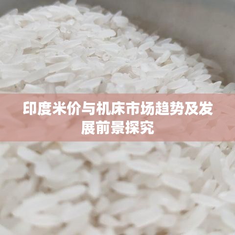 印度米价与机床市场趋势及发展前景探究