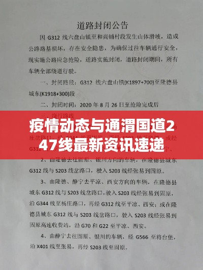 疫情动态与通渭国道247线最新资讯速递