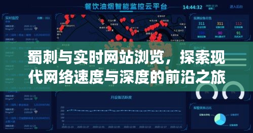 蜀刺与实时网站浏览,探索现代网络速度与深度的前沿之旅