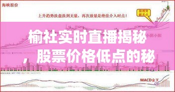 榆社实时直播揭秘,股票价格低点的秘密探寻