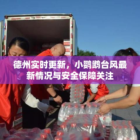 德州实时更新,小鹦鹉台风最新情况与安全保障关注