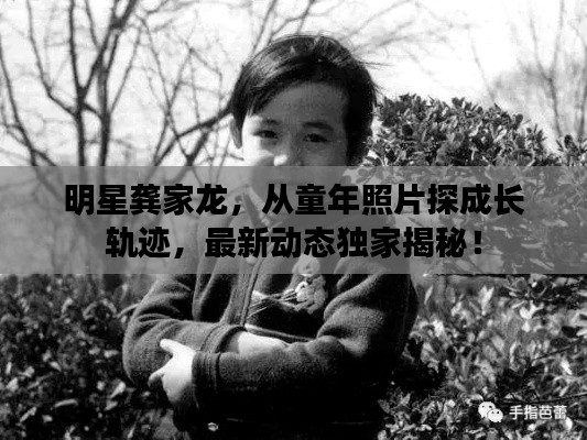 明星龚家龙,从童年照片探成长轨迹,最新动态独家揭秘!