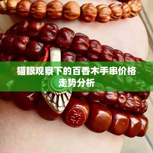 猫眼观察下的百香木手串价格走势分析