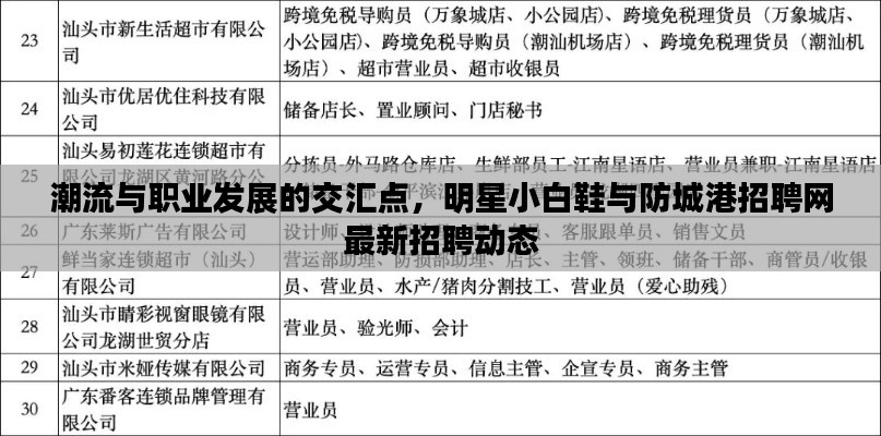 潮流与职业发展的交汇点,明星小白鞋与防城港招聘网最新招聘动态