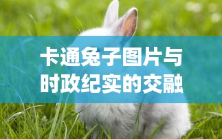 卡通兔子图片与时政纪实的交融风采