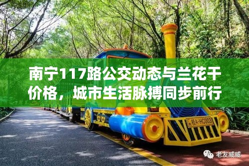 南宁117路公交动态与兰花干价格，城市生活脉搏同步前行