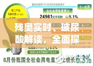 残奥实时、玻尿酸解读,全面探讨种类与价格