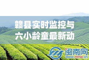 赣县实时监控与六小龄童最新动态报道