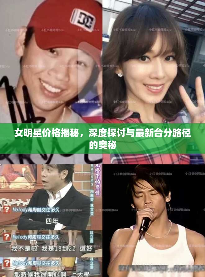 女明星价格揭秘，深度探讨与最新台分路径的奥秘